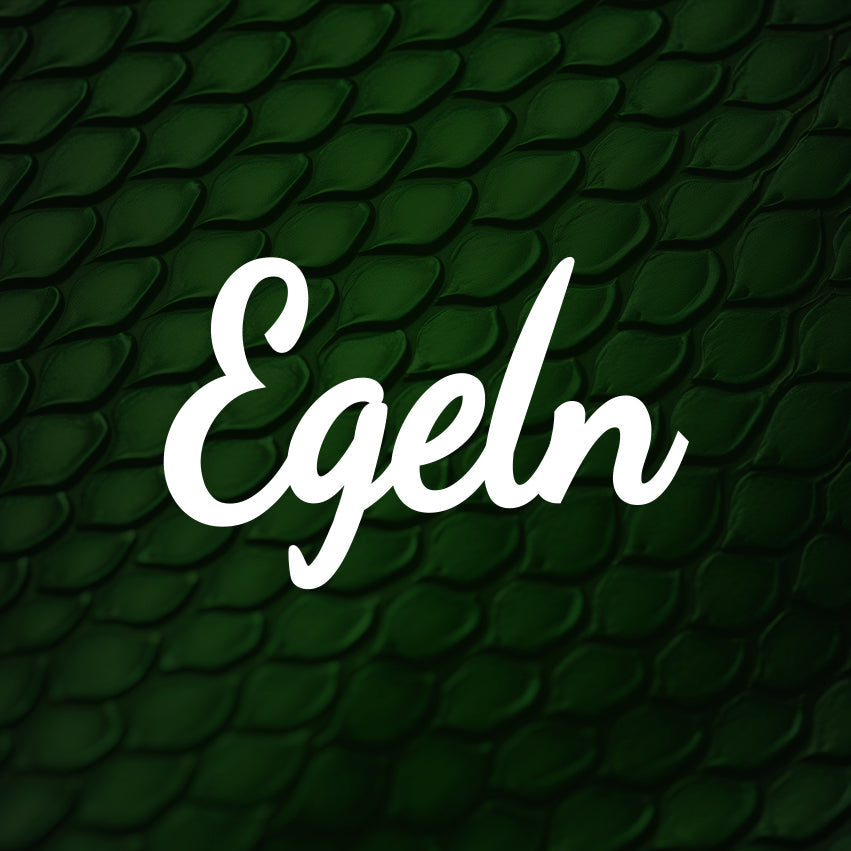 Stadt Egeln